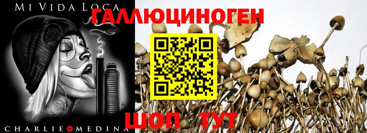 Зеленодольск  Галлюциногенные грибы ЛСД  Вход с VPN 